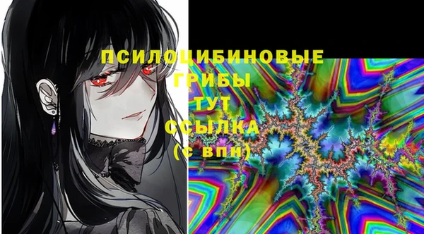 хмурый Алексин