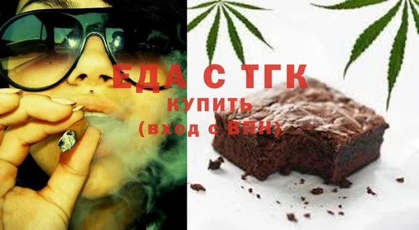 хмурый Алексин