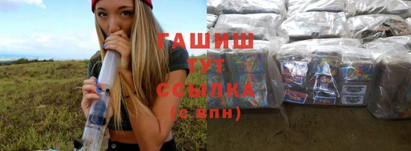 хмурый Алексин